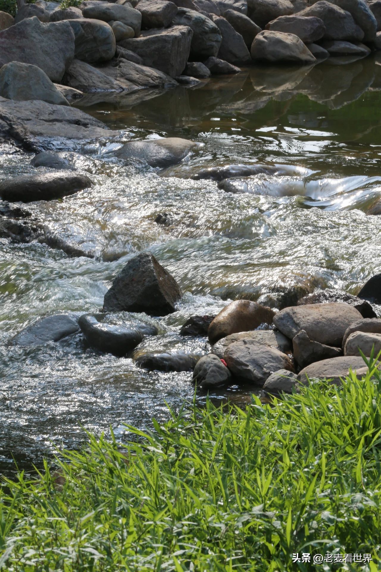 东莞中心公园怎么玩？最全攻略助你通关！五一打卡必备