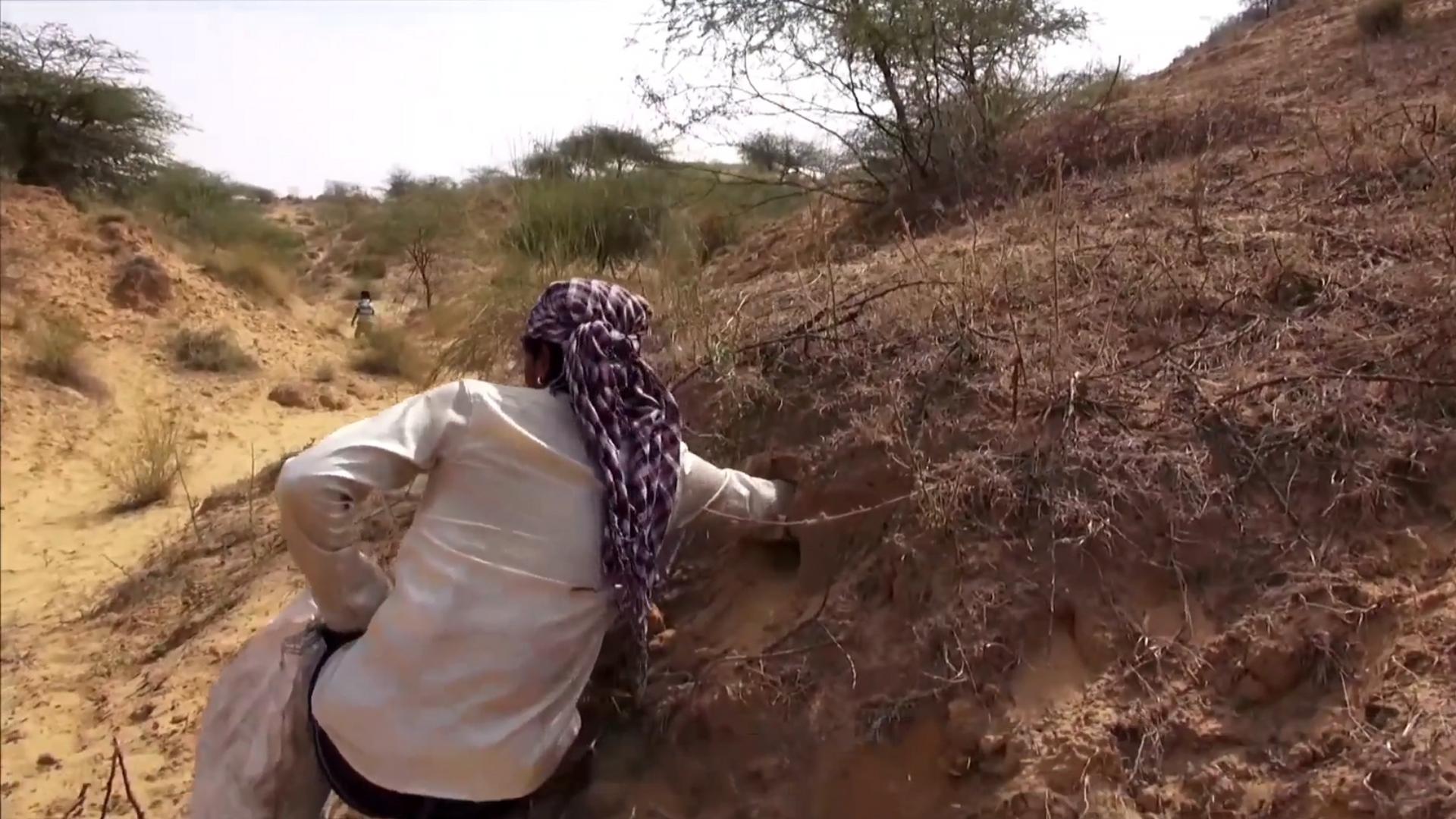 蛇最怕什么雄黄真的能驱蛇吗,蛇真的怕雄黄吗还是其他原因