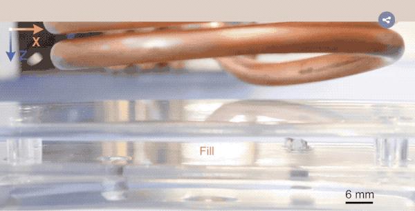 机器人液化越狱！中国团队实现终结者幻想，灵感竟来自海参