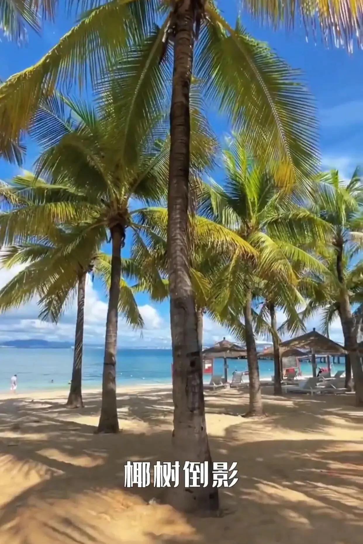 每个月适合去哪里旅游你知道吗,你知道每个月去哪里旅游吗