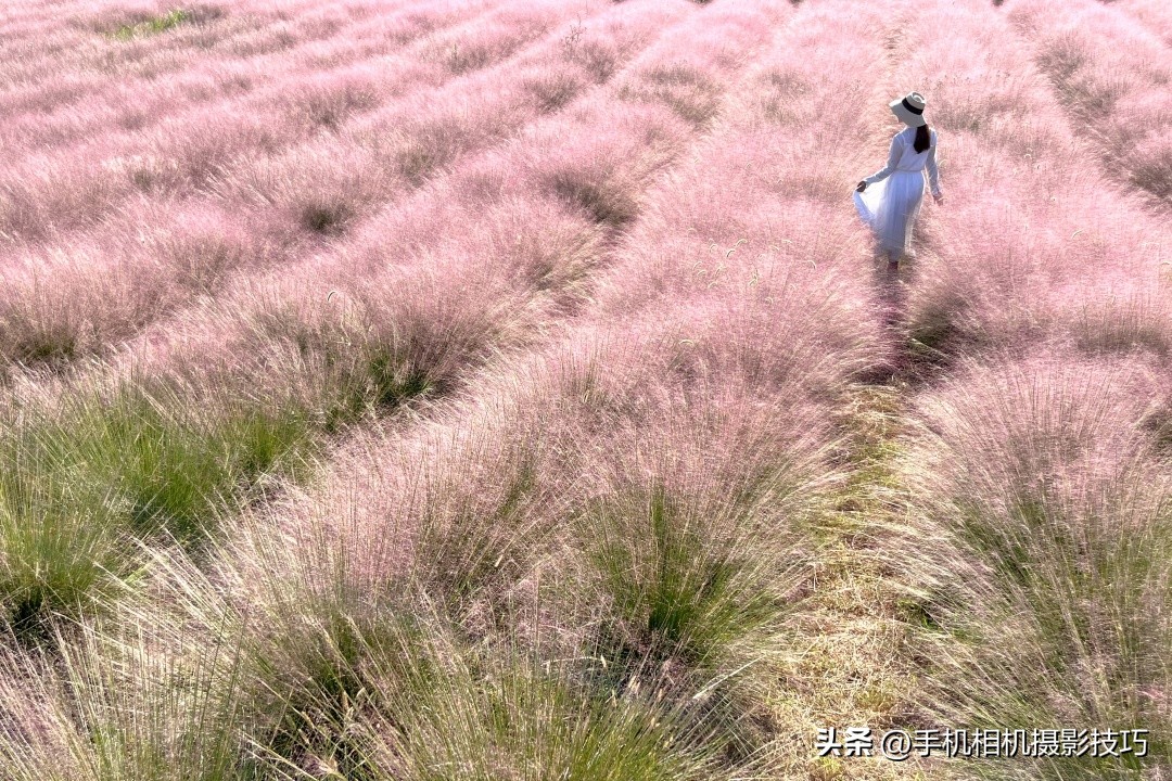 最有违和感的照片,盘点那些毫无违和感的图片