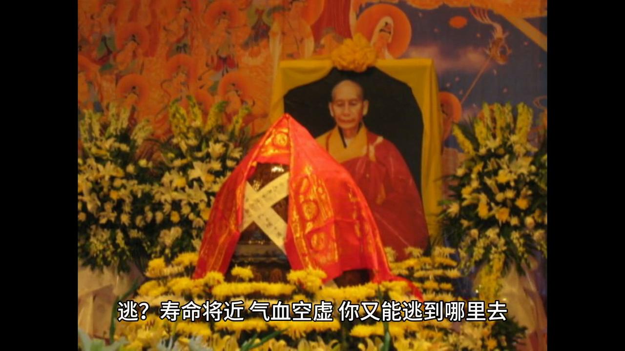 dou+小助手直播官方账号直播间,dou+小助手上热门