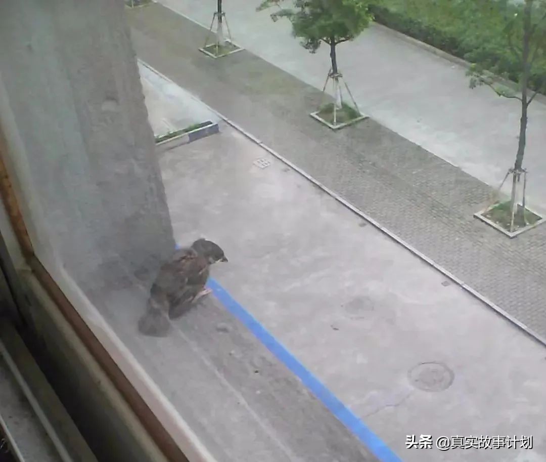 十多年的积蓄买个房子压力好大,买房花了100万却只住了三年