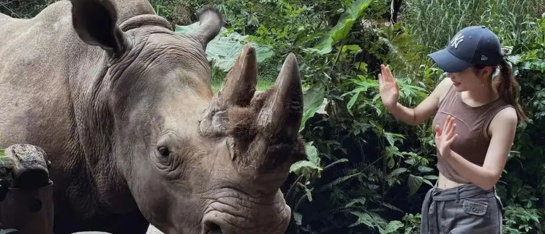 云南西双版纳风景领略异域风情,云南西双版纳真实风景