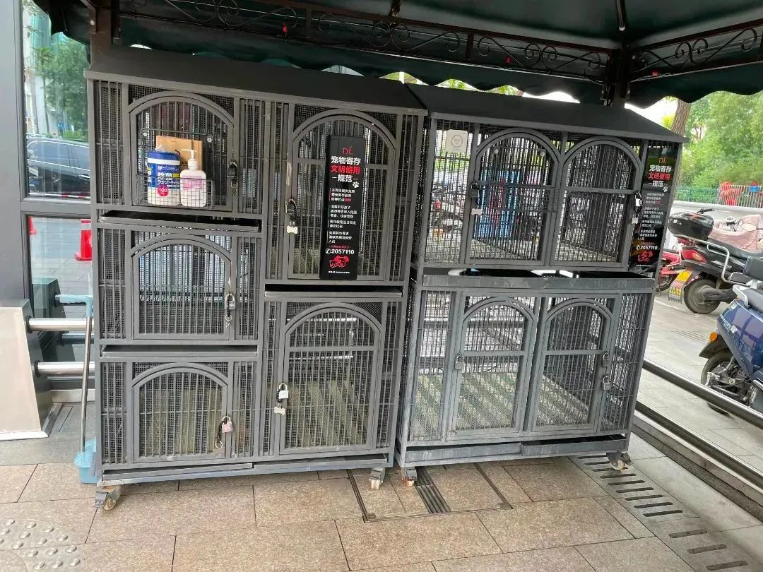 胖东来又多了一个好玩的地方,胖东来又有神操作