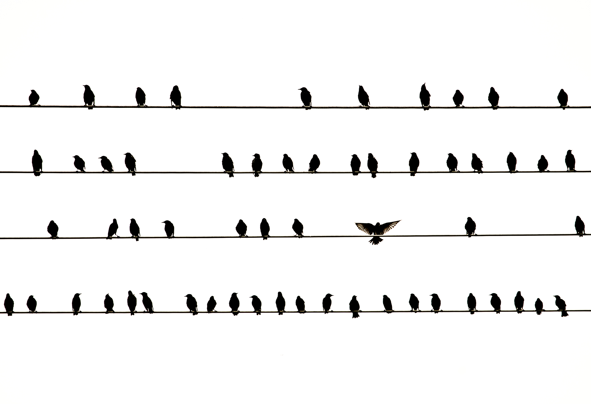 自然就是美,自然就是美歌曲