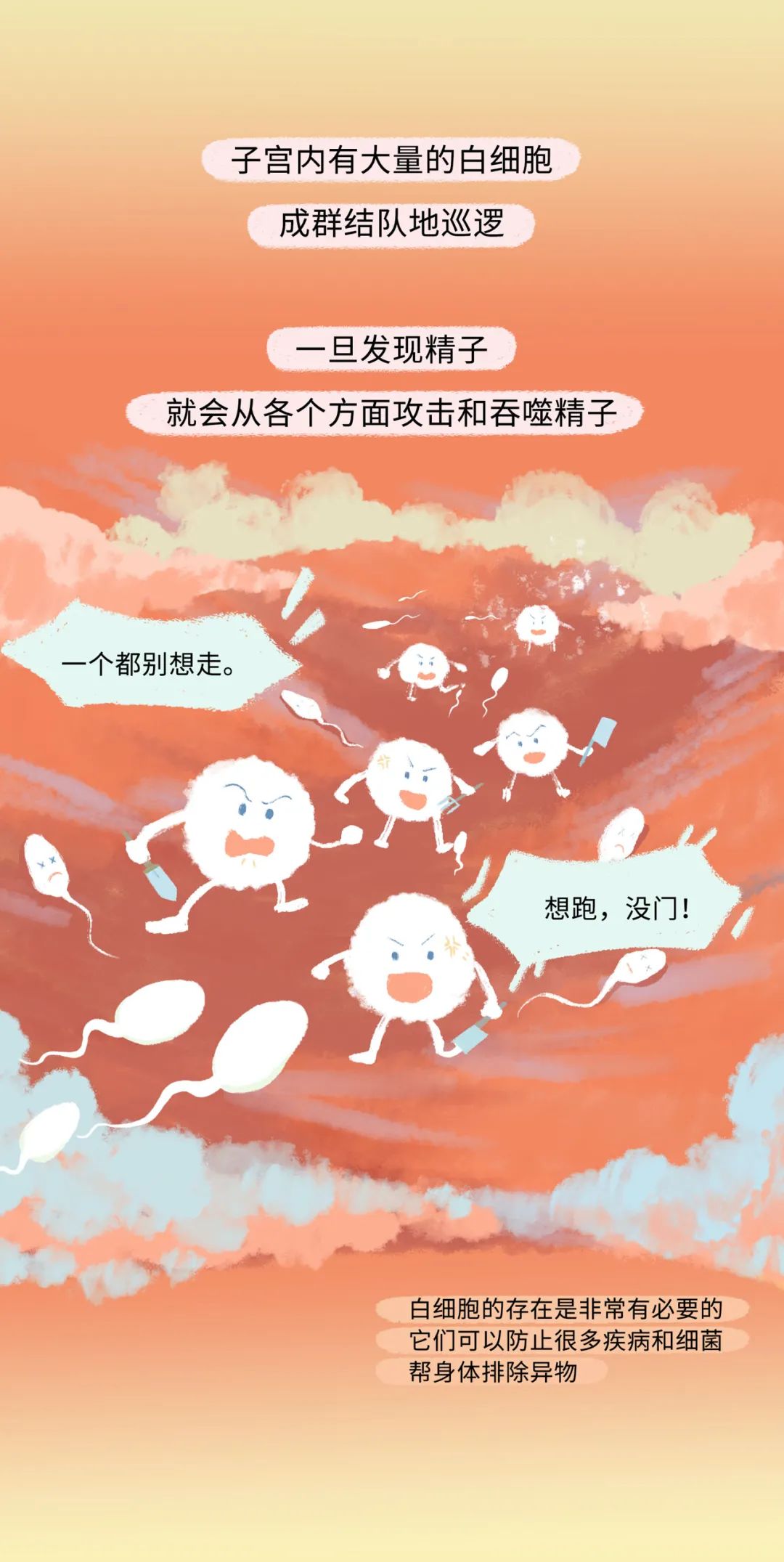 漫画：精子进入女生体内的全过程曝光！别害羞，早知早受益