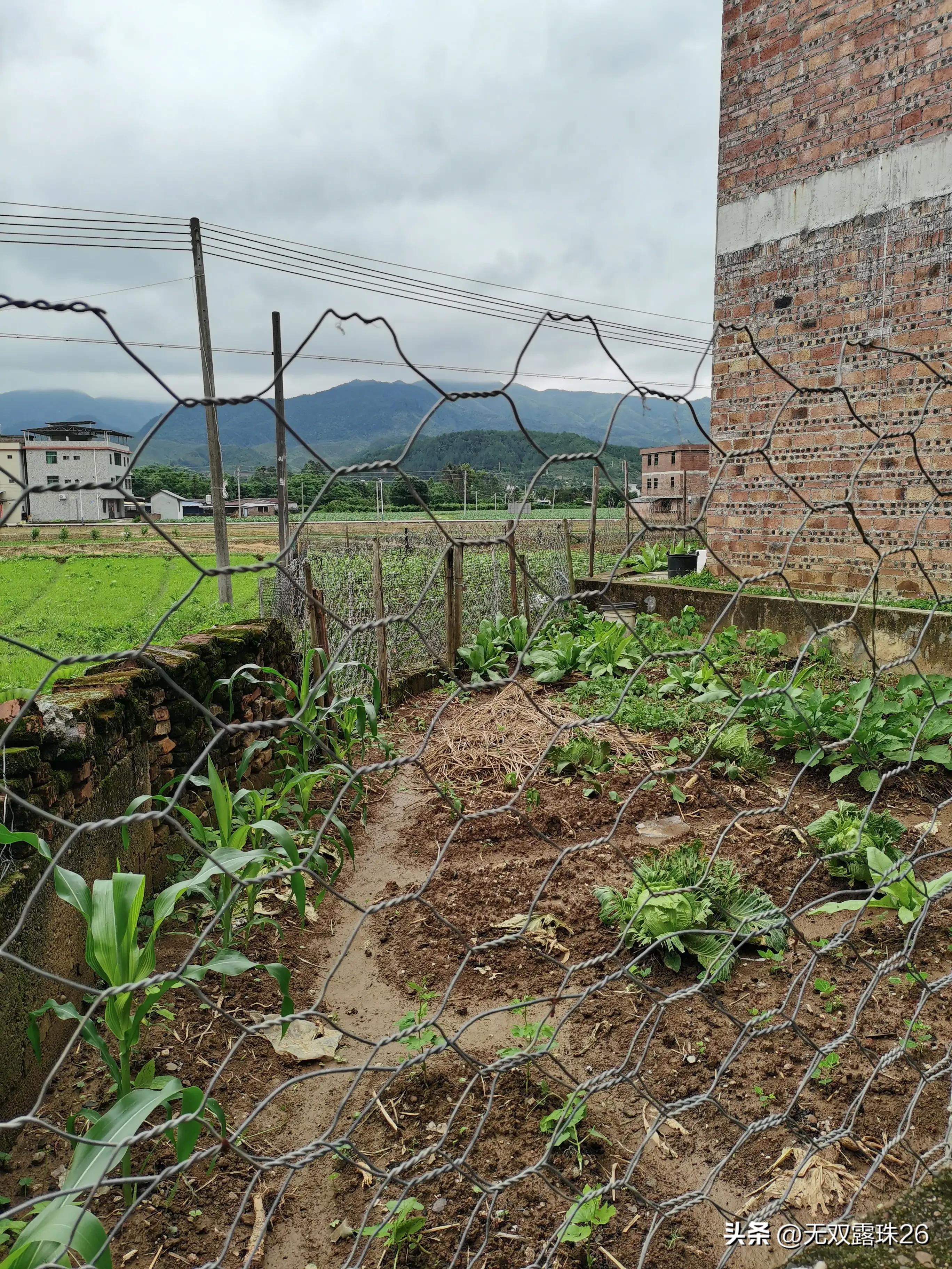 百岁奶奶驾鹤一路走好,大爷驾鹤西去一路走好