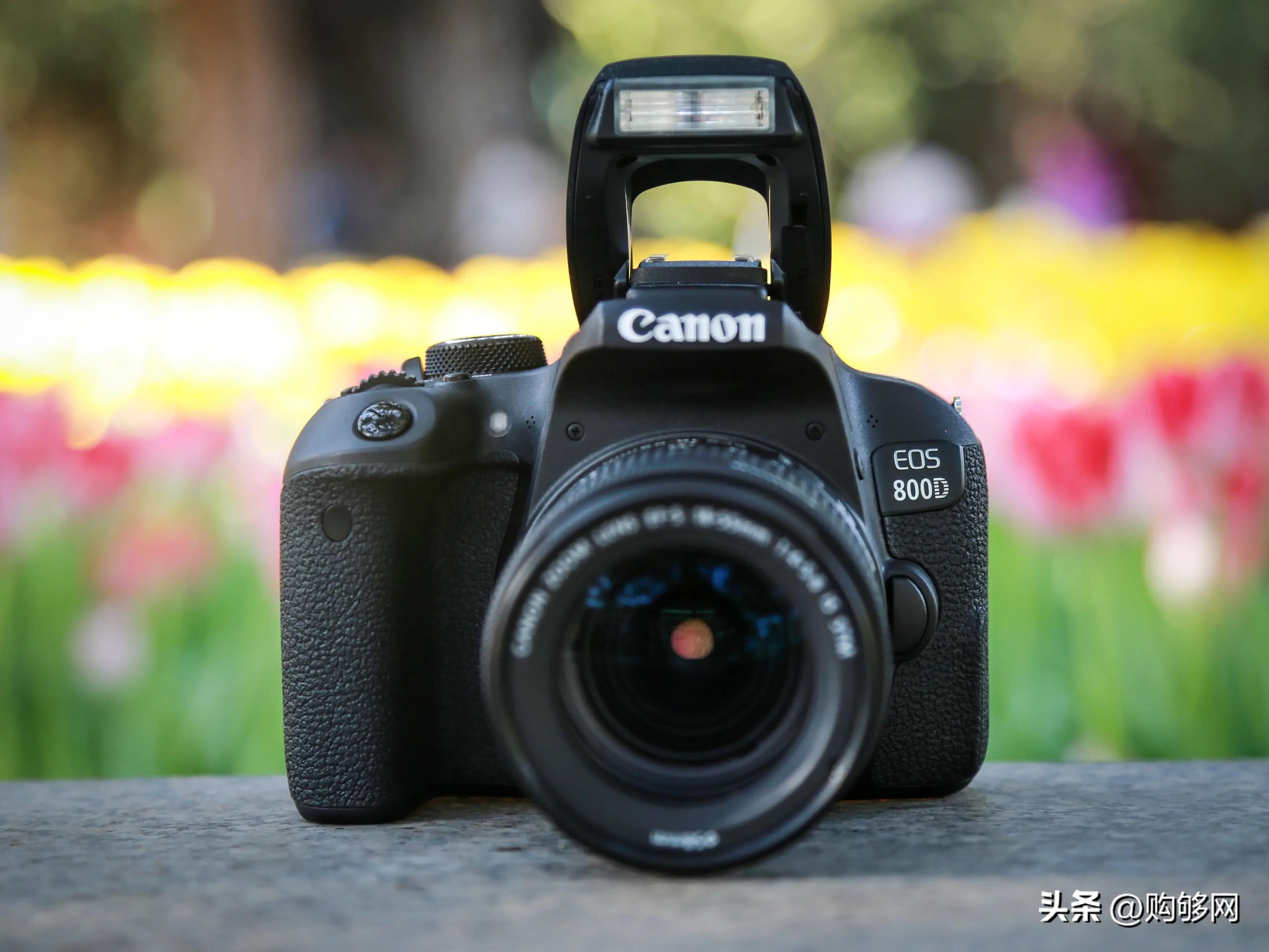 小白必看！！单反到底有什么用？