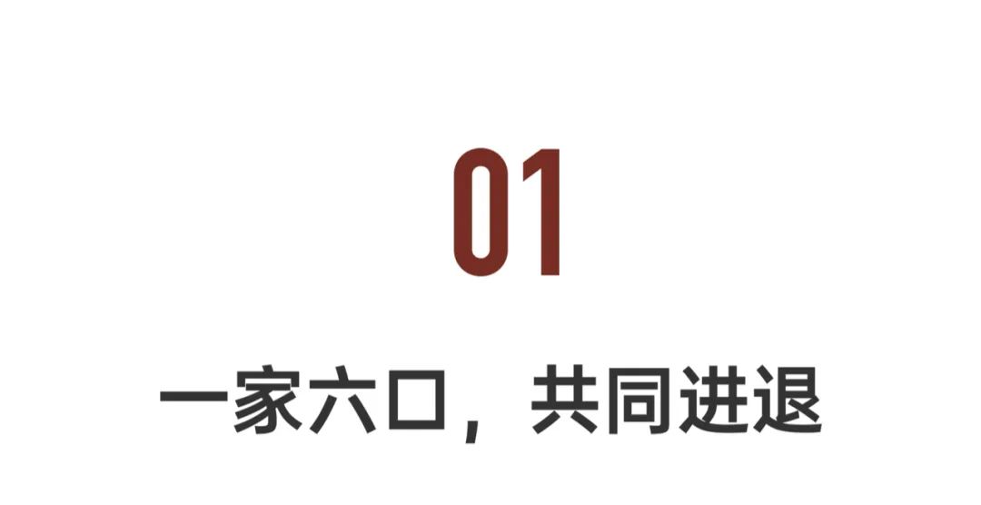 深圳一家六口给别墅装上大蚊帐,深圳一家六口别墅