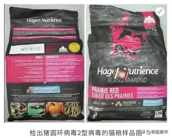 被央视曝光的猫粮,进口猫粮与国产猫粮能掺起来吃吗