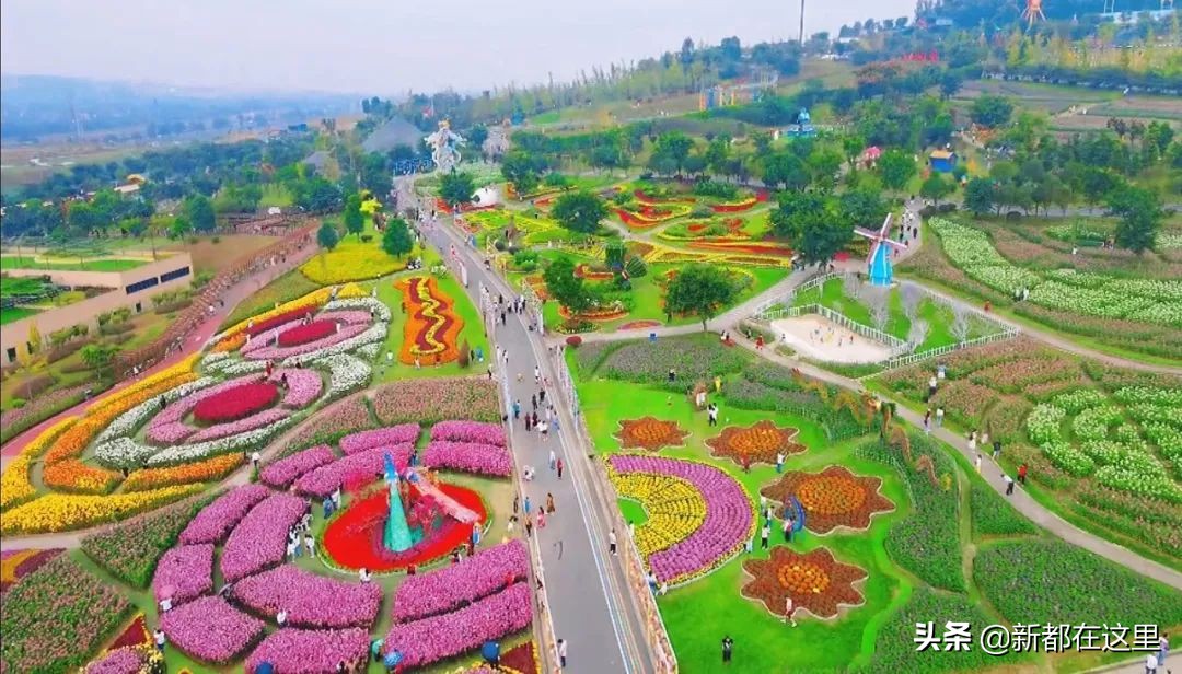 户外音乐啤酒季成都北湖,新都流行音乐季