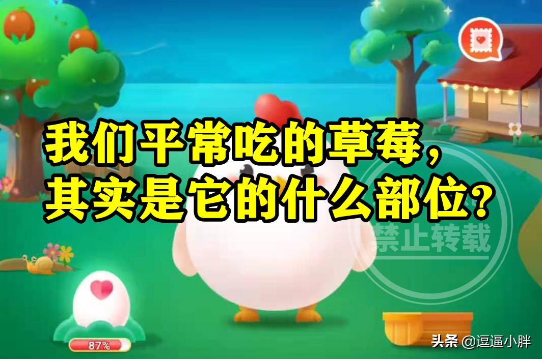 蚂蚁庄园的小鸡答案是什么,蚂蚁庄园农场答案