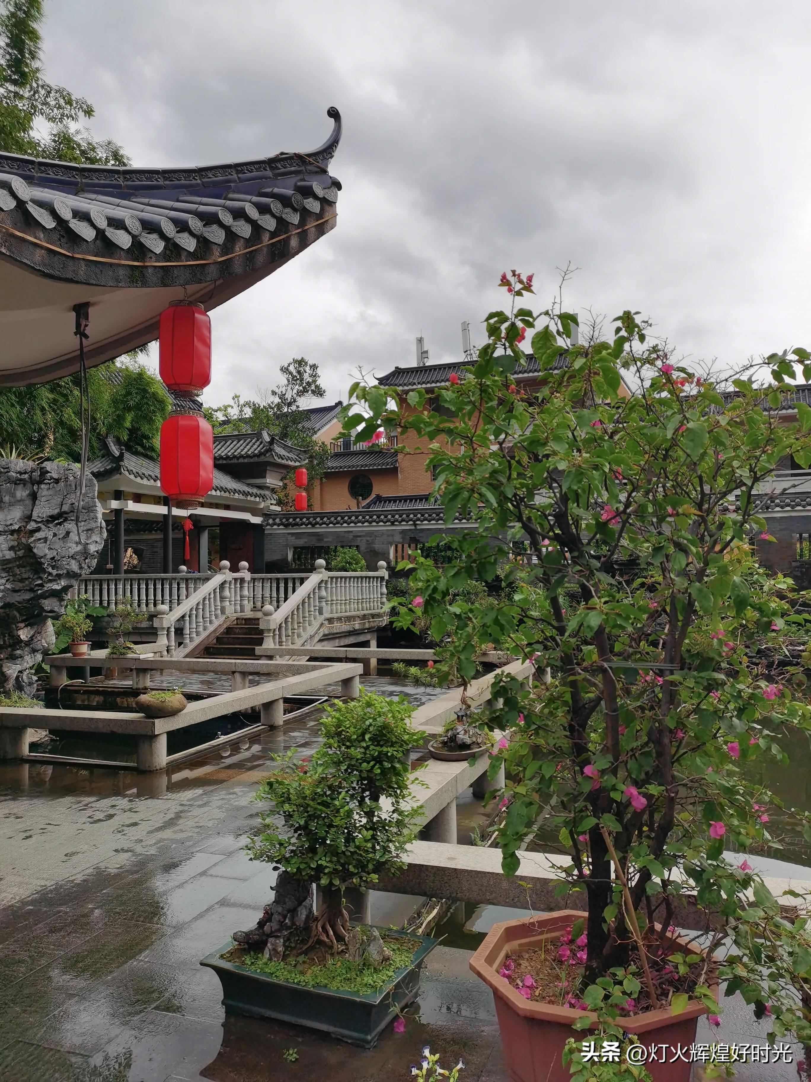 夏日掠影,雨天花开,人见人爱