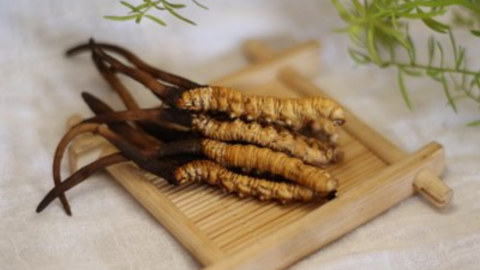 有哪5种坑人的保健品,被吹上天的六种保健品