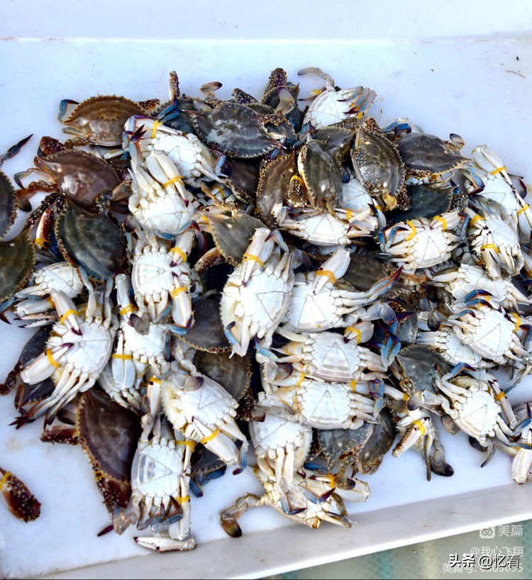 天津西关街老胡同大全,天津西关街美食糕点推荐