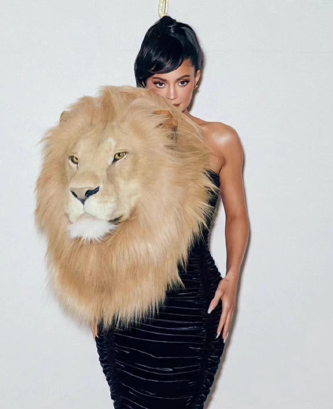 豆荚猫红色造型秀场,豆荚猫秀场图片