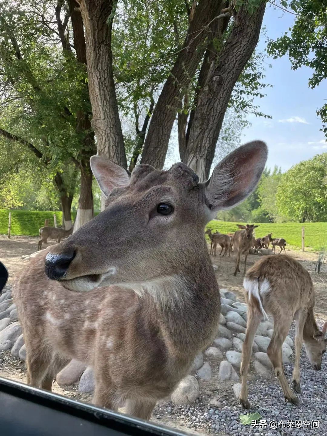 mdpi发展前景,mdpi有前景吗