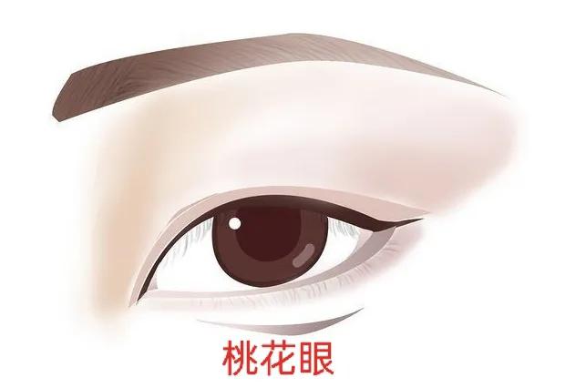 男人常见的眼型测试,常见好看的眼型