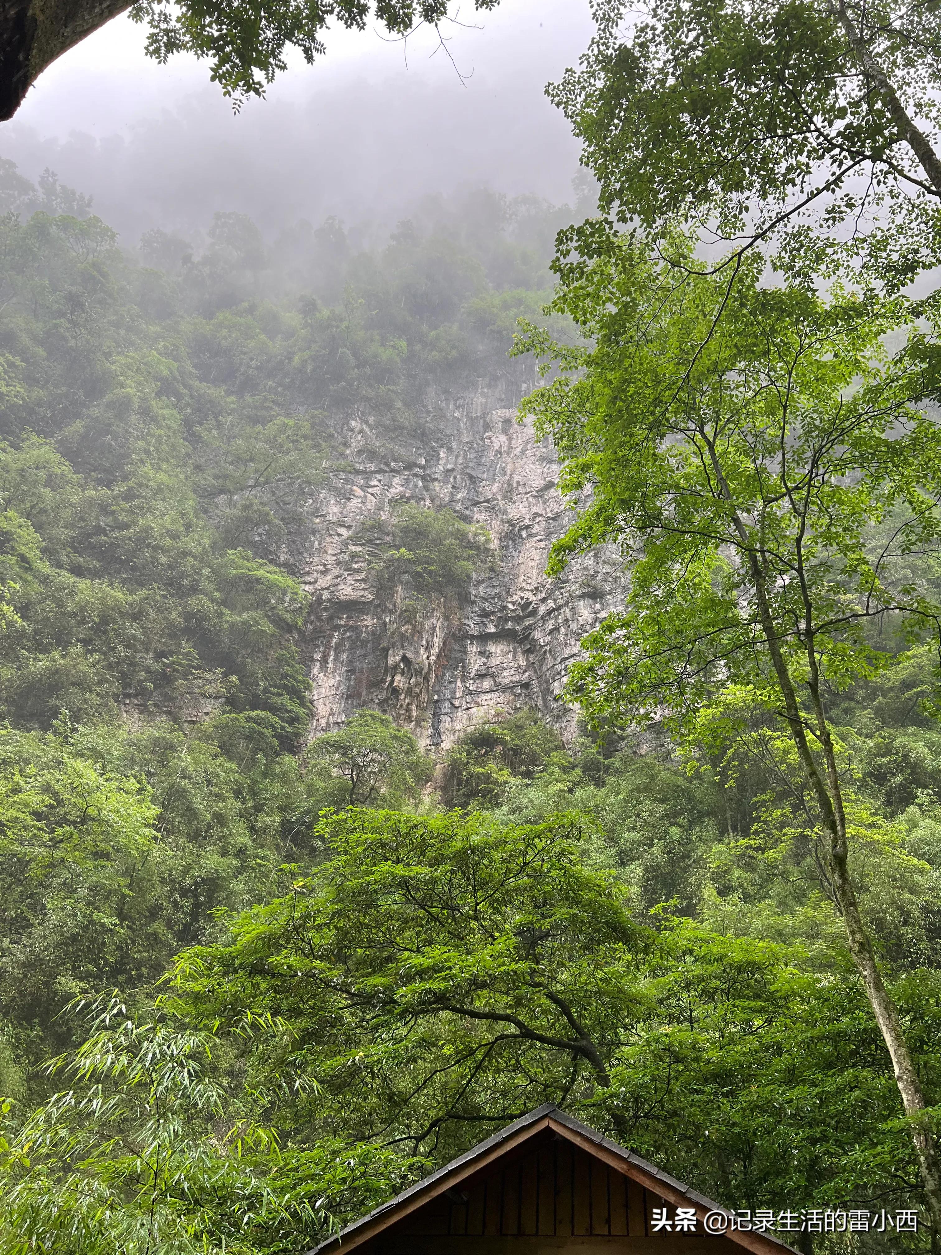 重庆到黑山谷景区怎么坐车,重庆黑山谷自驾游一天