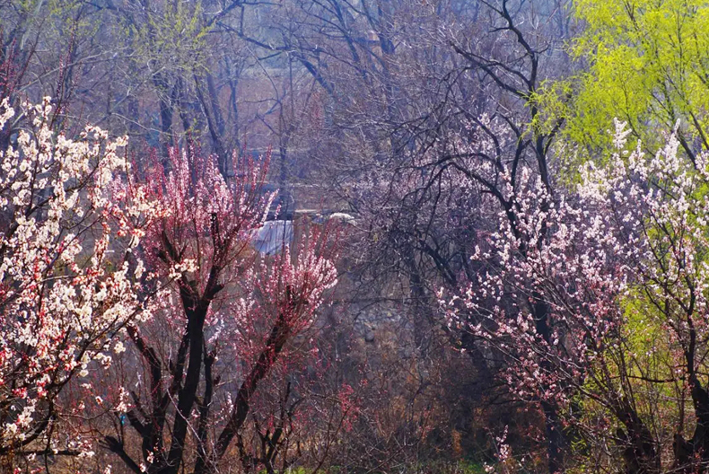 2023年闰2月和往年有什么区别,为什么讲2023年是双春年