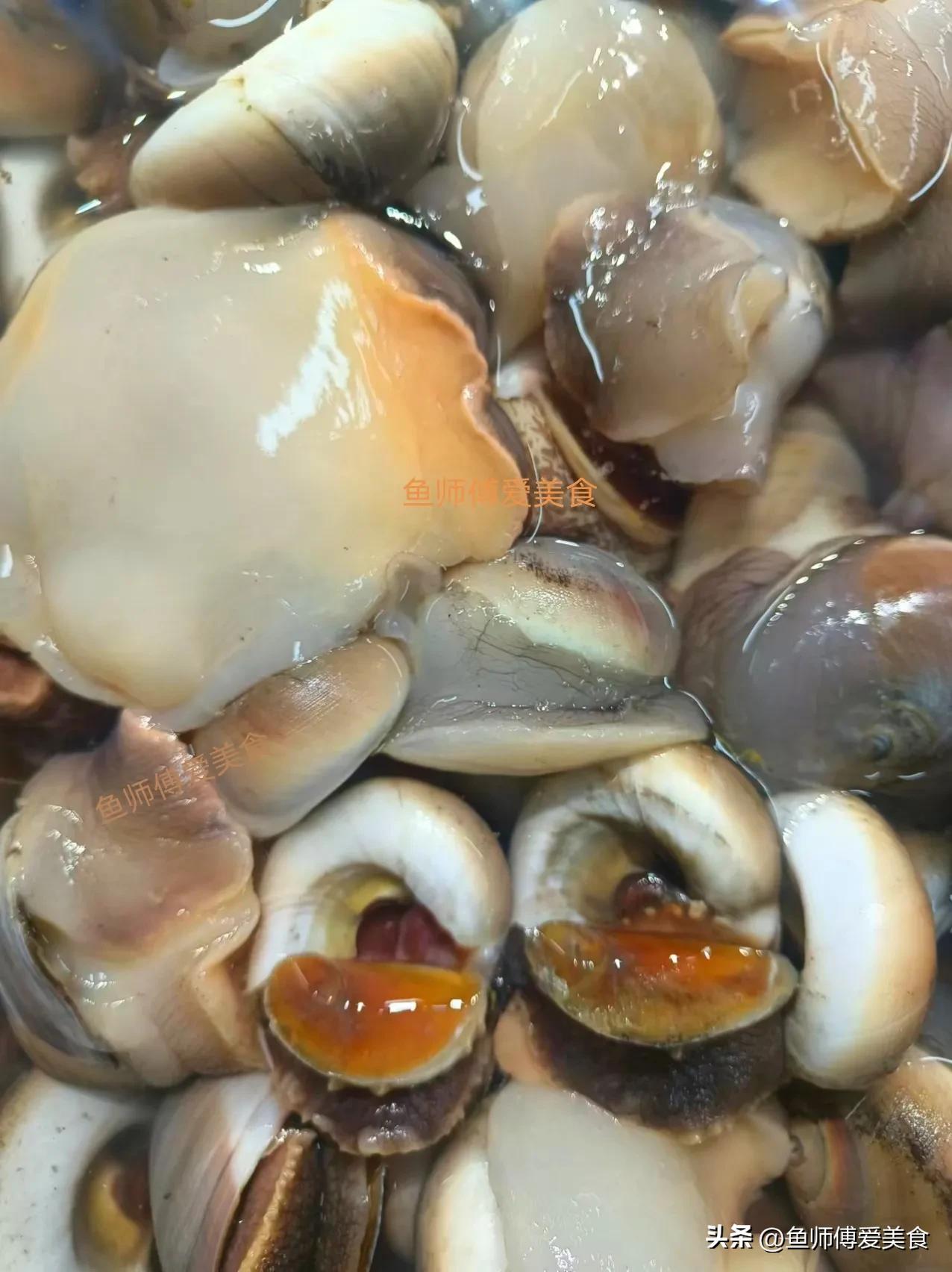 春天好吃的五种小海鲜,适合春天吃的海鲜有哪些