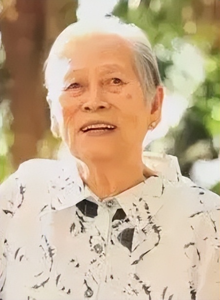 港大名誉院士袁苏妹,港大第一人袁苏妹