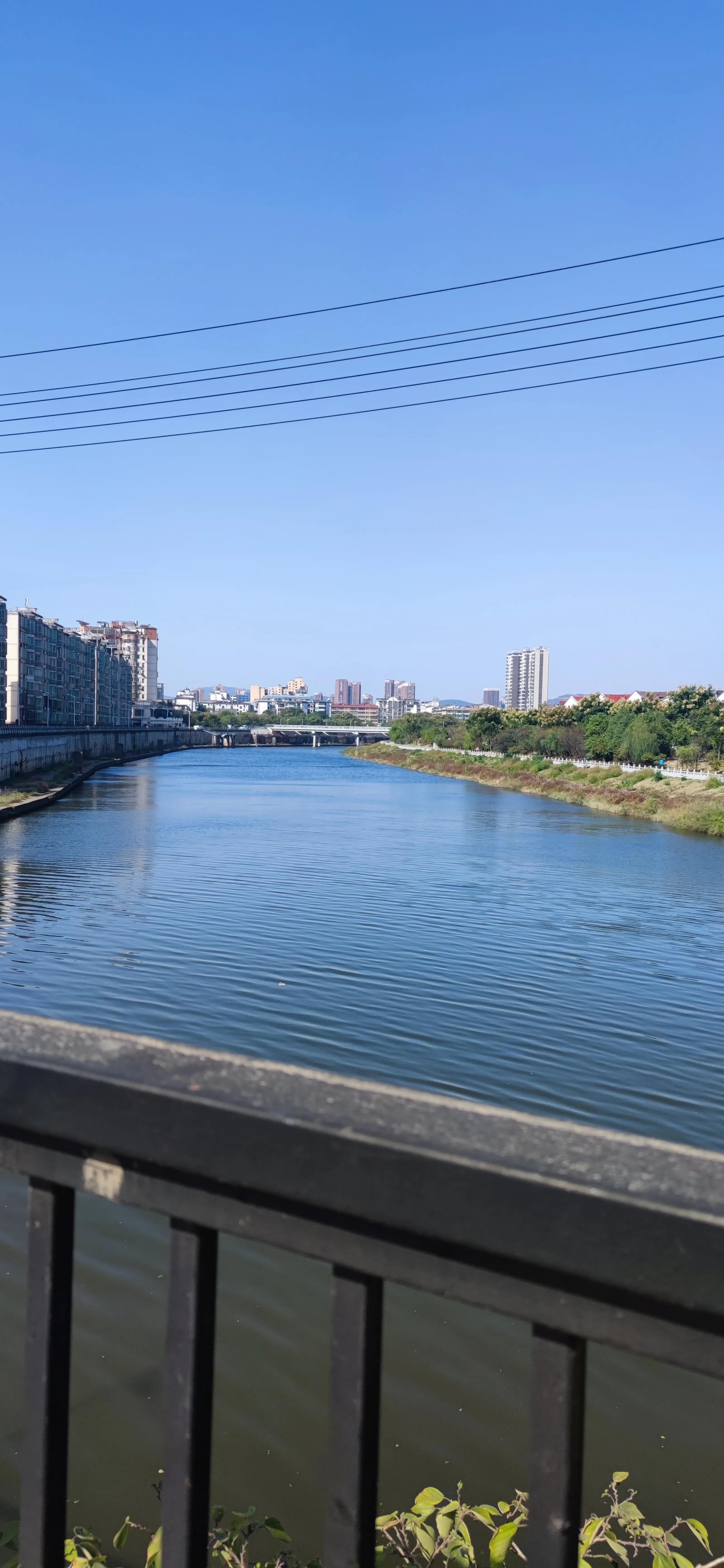 鎴戝彲鐖辩殑瀹朵埂鎶楀嚮鐤儏,鎶楀嚮鐤儏鎴戝彲鐖辩殑瀹朵埂