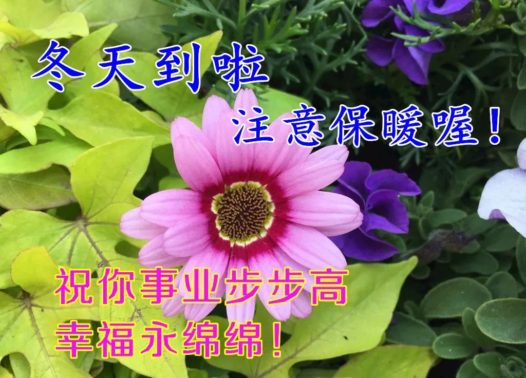 早晨好表情图片大全大图,下雨天的早晨好动态表情图片