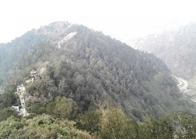 汉中最美行道树,植树节种树真实图片