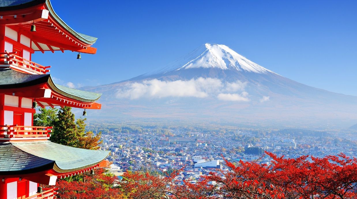 日本签证上面的信息,日本签证真实视频