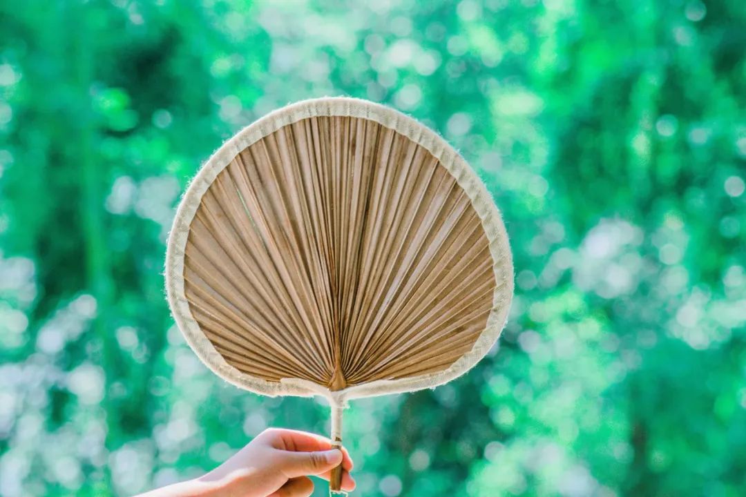 24个夏天的成语，原来都出自古诗文