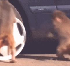 丝袜上可以纹身吗,女生纹身还能穿丝袜吗