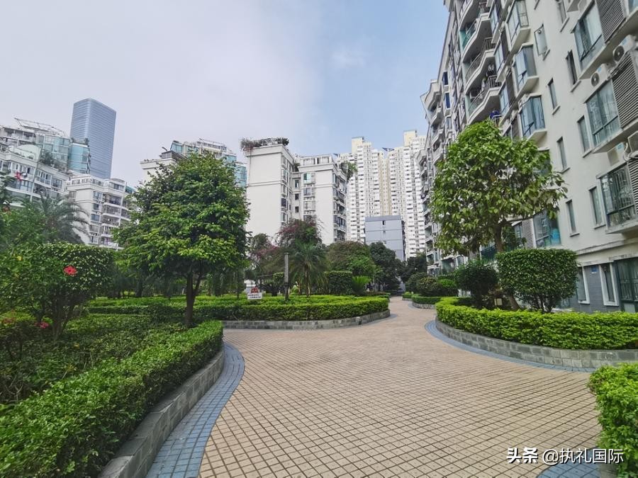 南山法拍房最新视频,南山法拍房小户型