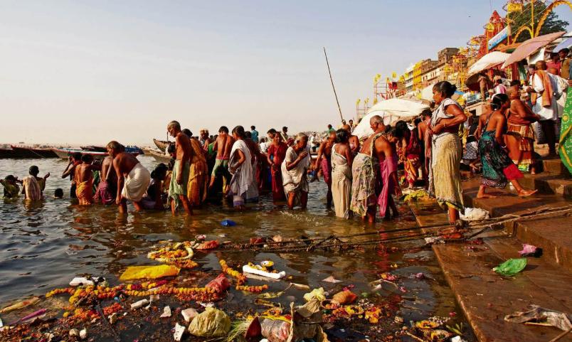 印度屡次向中国求借大熊猫遭拒，卡塔尔却一次成功？背后有何原因