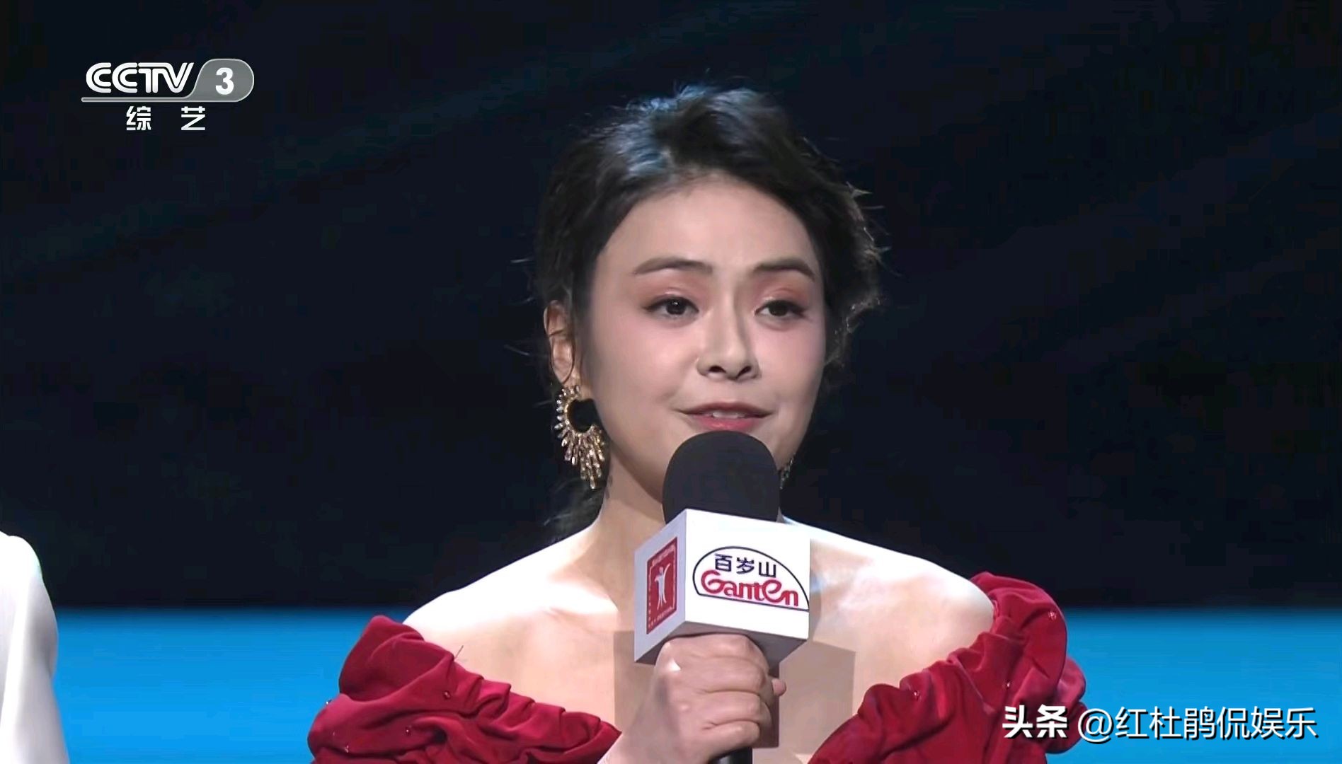 陈辰英文主持视频,陈辰张国立蓝羽