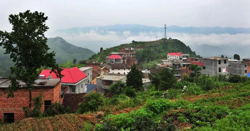 农村的那些光棍后来怎么样了,农村3000万光棍何去何从