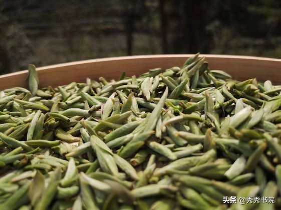 久闻薛山长琴棋书画样样精通,小生仰慕不已,愿跟随山长潜心修习