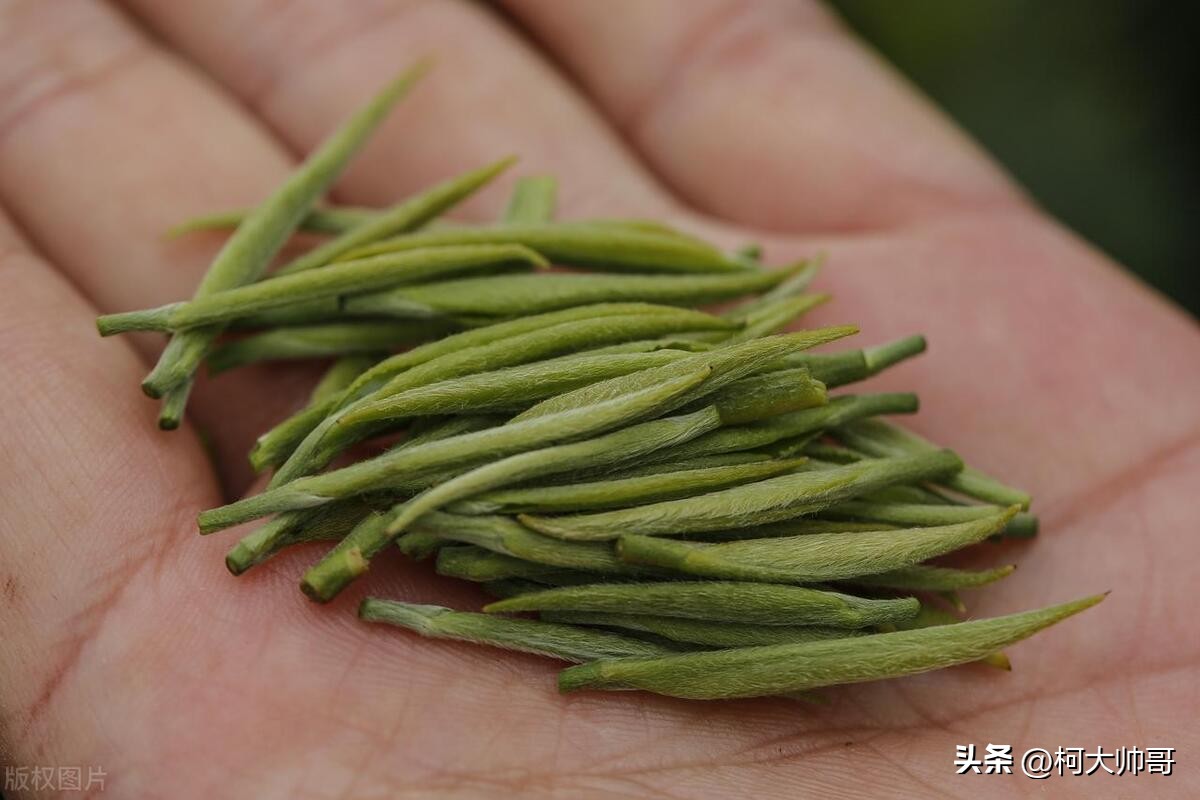 中国茶叶哪个省的茶叶最有名,谁才是茶叶全国第一