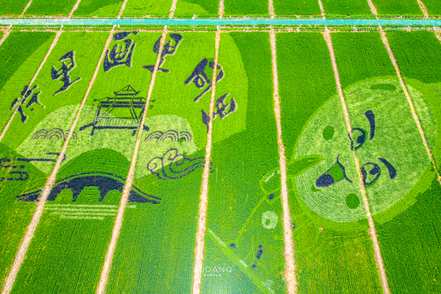 苏州吴江区六大名镇,苏州吴江最有发展区是哪里