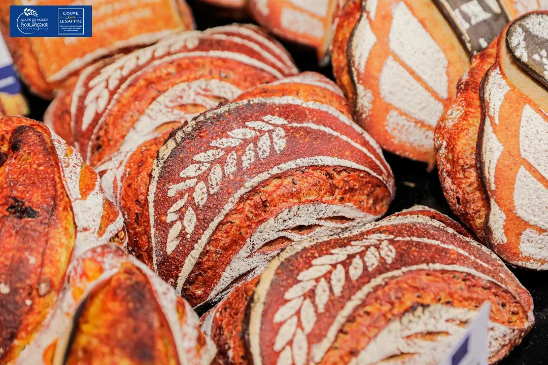 四冠王！专注面包领域，做实用产品！独家采访「林业强」