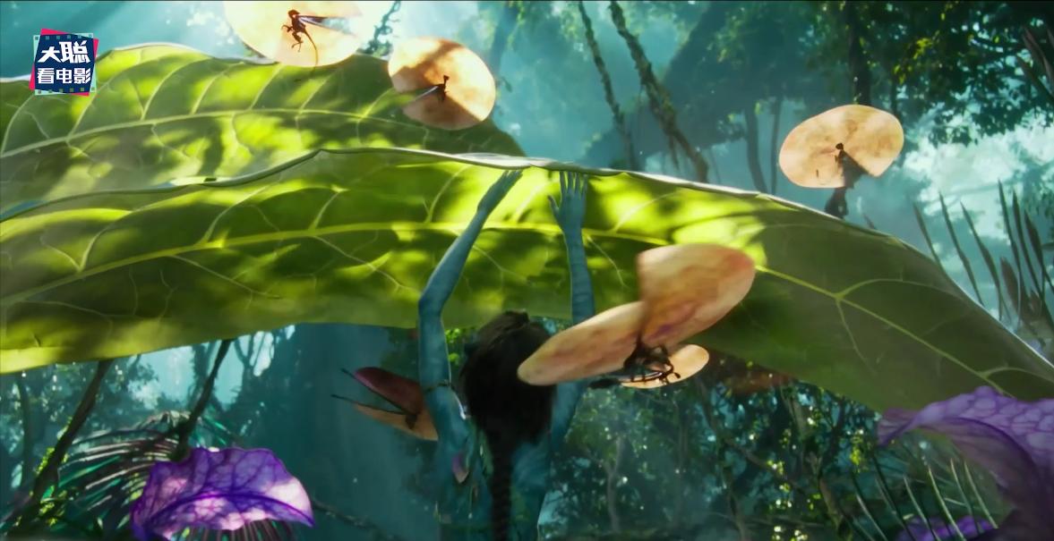 阿凡达2曝光全新中文海报及预告,外网曝阿凡达2预告
