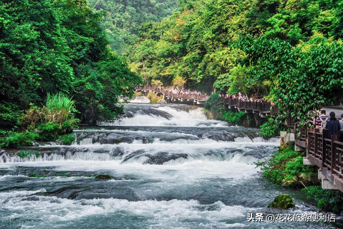 荔波绿宝石一日游,荔波全年游客接待量