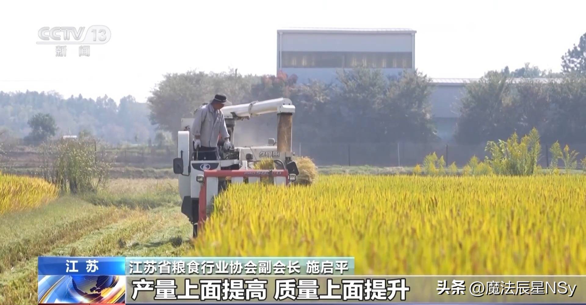 好粮大米,好粮好料出好酒