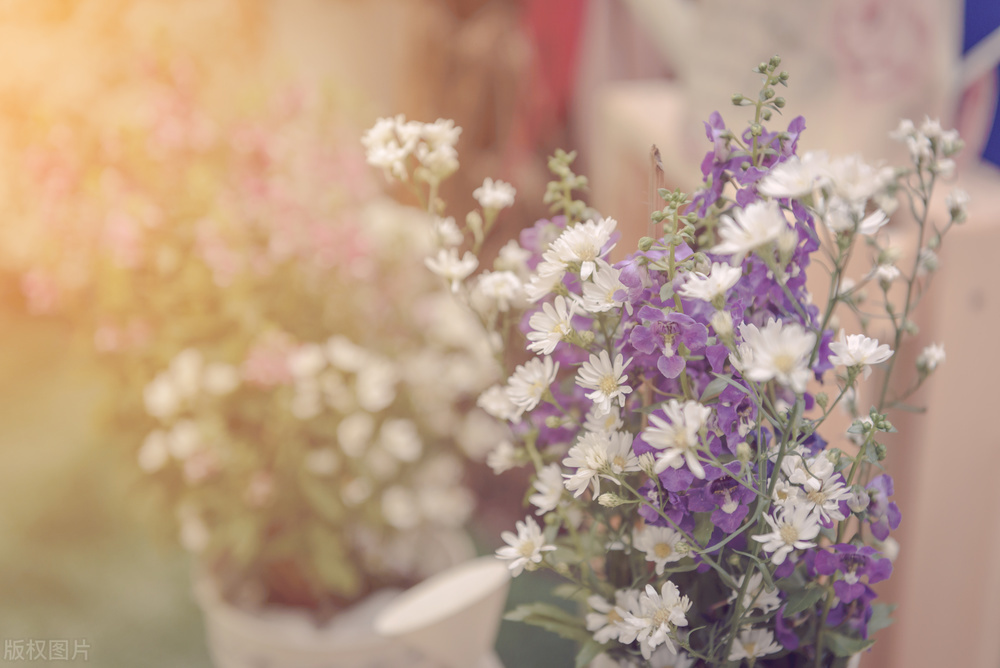 退休之后十件事千万不要再做了,退休了的人还继续工作是什么原因