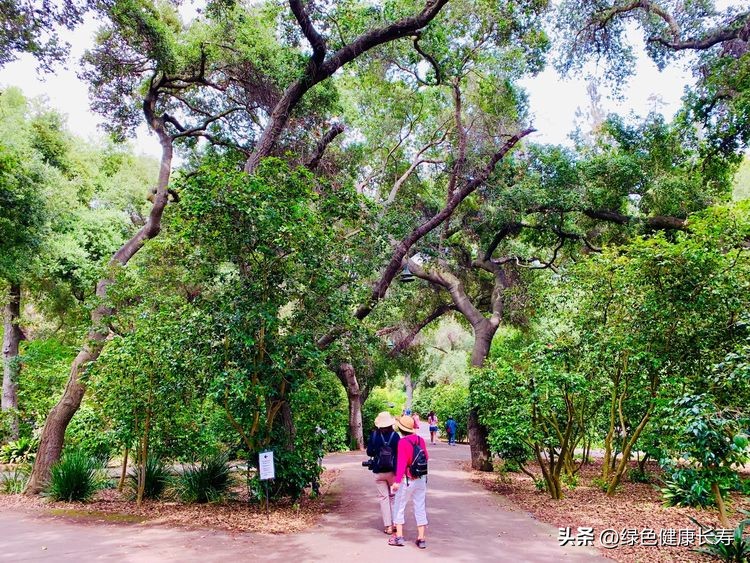 世界花园风景,世界花园
