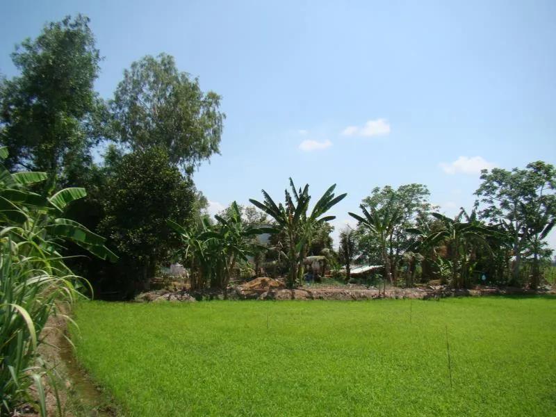 越南娶妻记纪实下,越南娶妻完整版