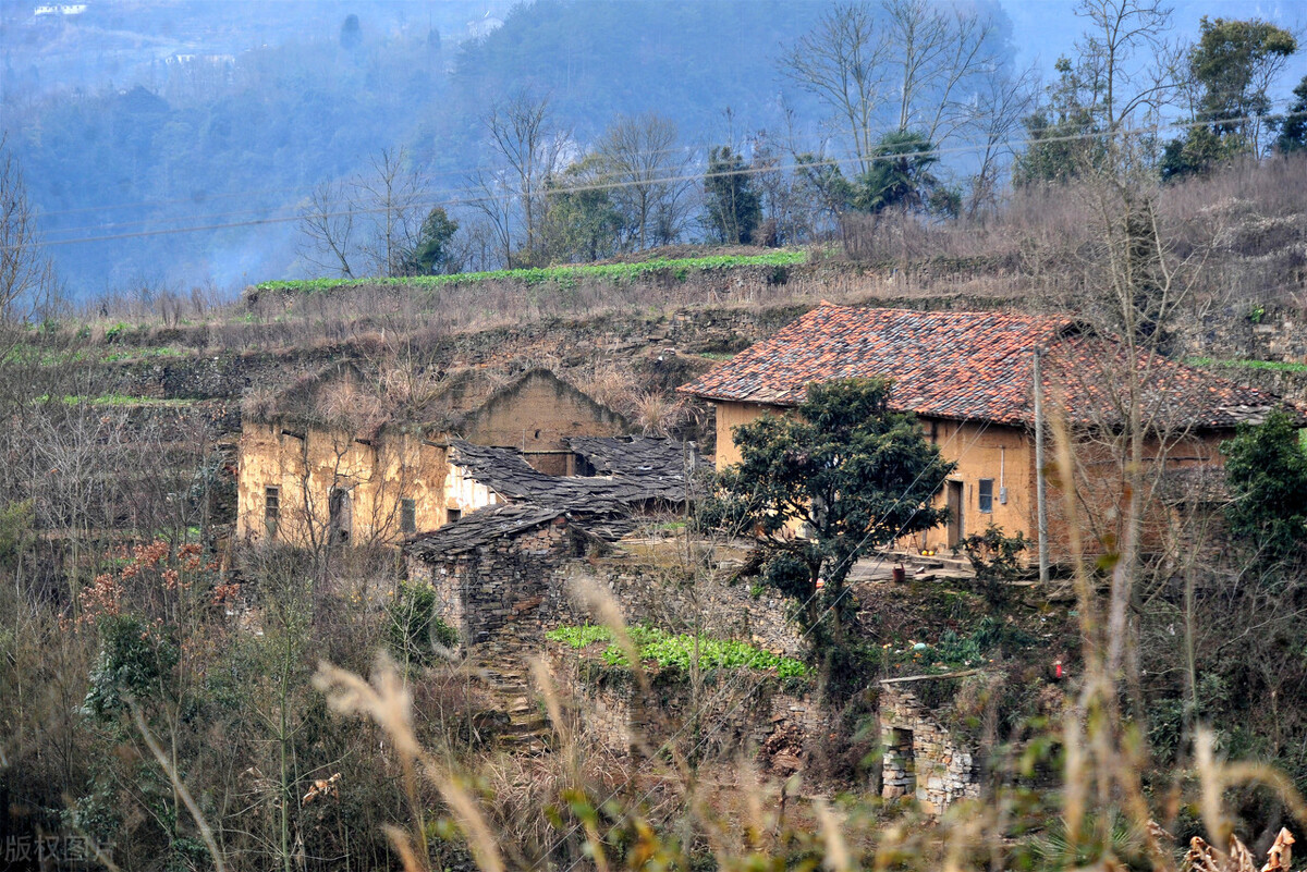 创意农业稻田,休闲农业创意农业