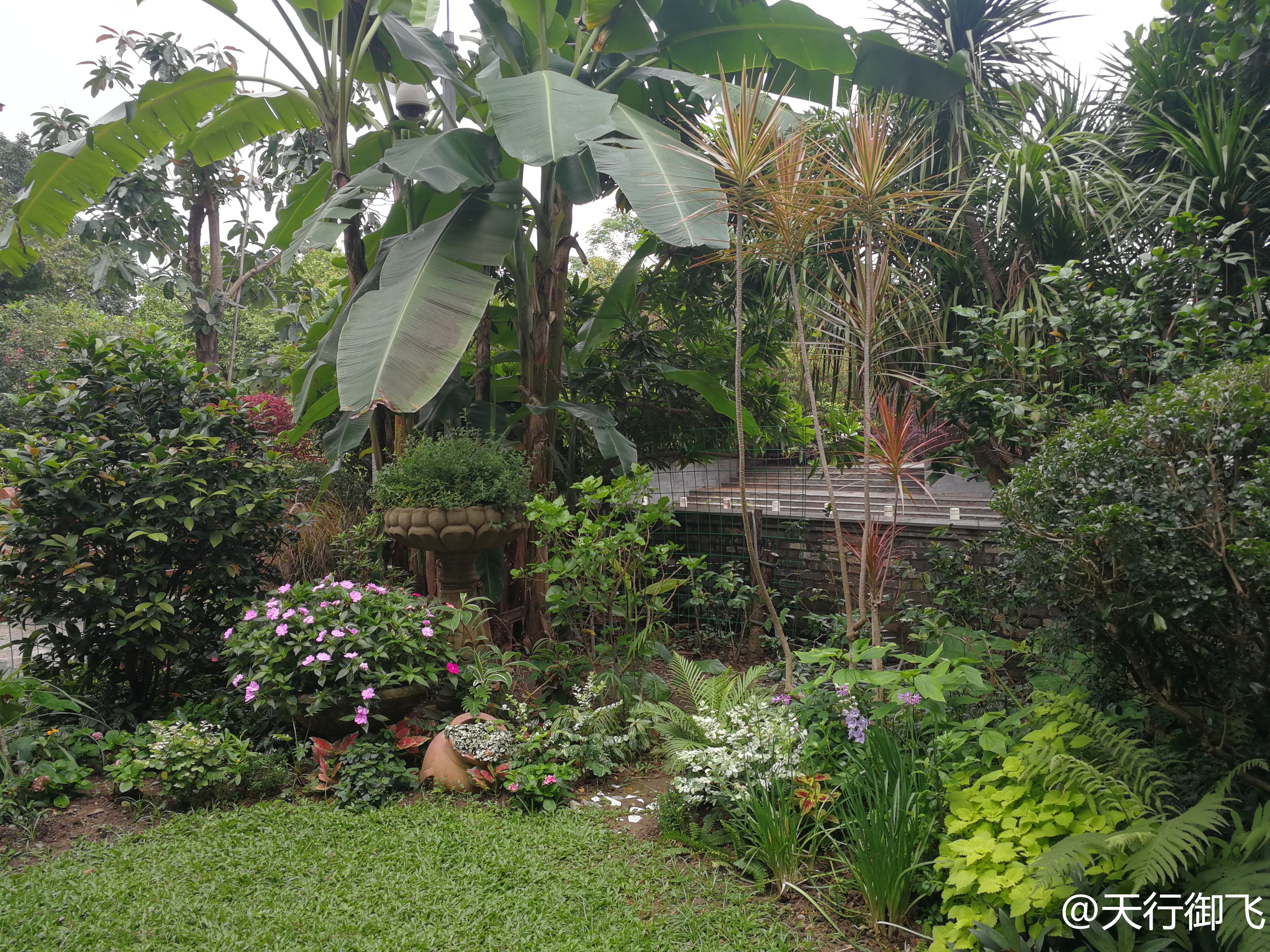 小洲村旅游景点地图,小洲村一日游最佳攻略