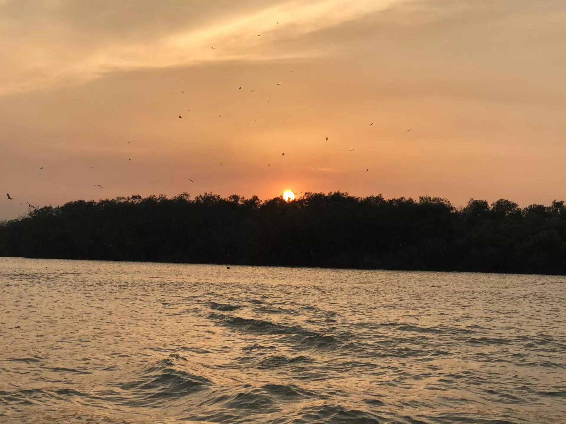 钱猫猫王者荣耀,钱猫猫的视频